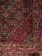 Bidjar - Tapijt - 248 cm - 166 cm, Nieuw