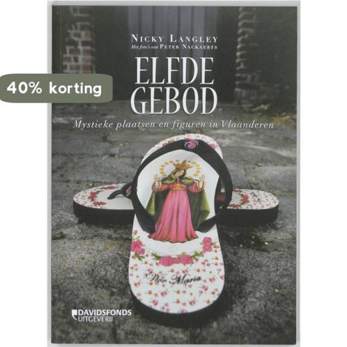 Elfde gebod 9789058267351 Nicky Langley, Boeken, Godsdienst en Theologie, Gelezen, Verzenden