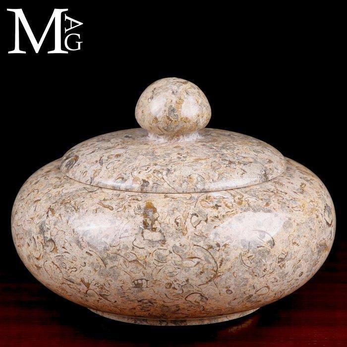 Container met deksel in fossiel marmer – oude en geologische, Collections, Minéraux & Fossiles