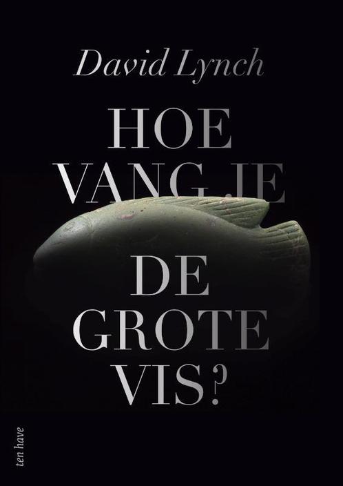 Hoe vang je de grote vis? 9789025907099 David Lynch, Boeken, Esoterie en Spiritualiteit, Zo goed als nieuw, Verzenden