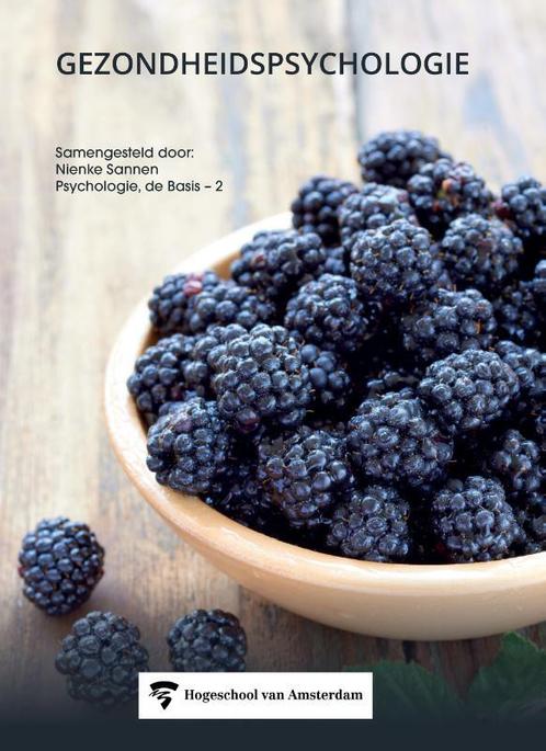 Gezondheidspsychologie 9789043037761 Val Morrison, Boeken, Schoolboeken, Gelezen, Verzenden