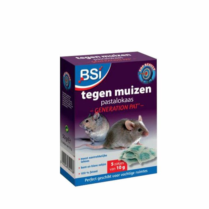 Pastalokaas voor ratten en muizen, Diensten en Vakmensen, Ongediertebestrijding