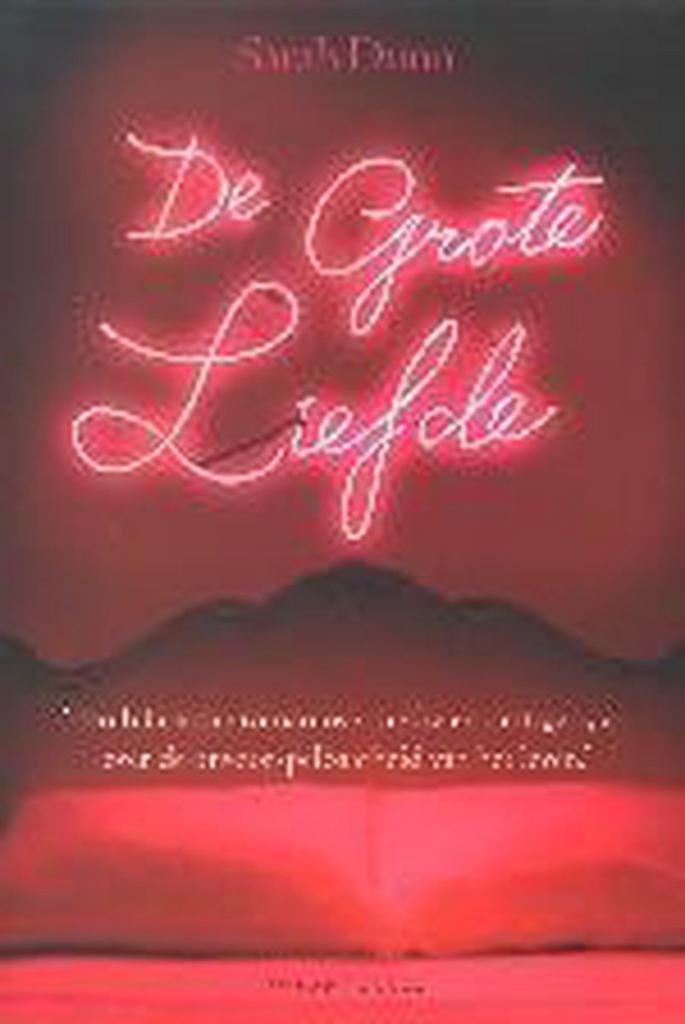 De grote liefde 9789023412977 S. Dunn, Boeken, Romans, Gelezen, Verzenden