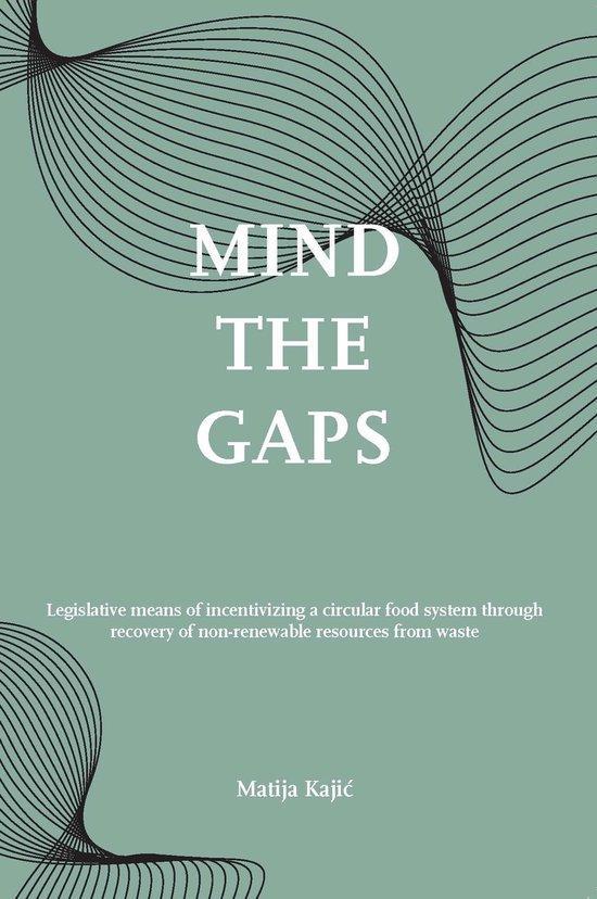 Mind the gaps! 9789462513433 Matija Kaji, Livres, Langue | Anglais, Envoi