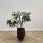 Tweedehands Stenen plantenbak met kunstplant,  108 cm, Huis en Inrichting, Kamerplanten