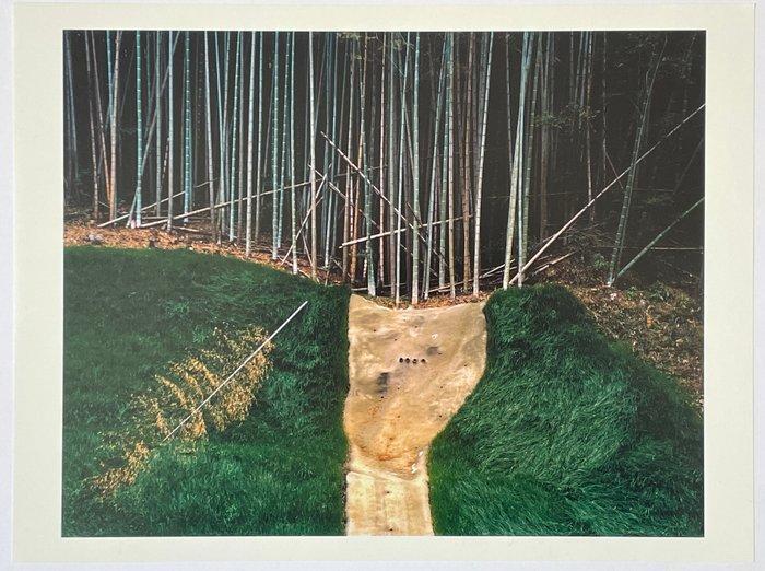 Mark Power - MIYAZAKI, JAPAN 2000, Antiek en Kunst, Kunst | Designobjecten