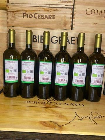 2023 Grattamacco, Vermentino - Bolgheri DOC - 6 Flessen beschikbaar voor biedingen