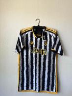 Juventus - Italiaans voetbalcompetitie - Dusan Vlahovic -, Nieuw