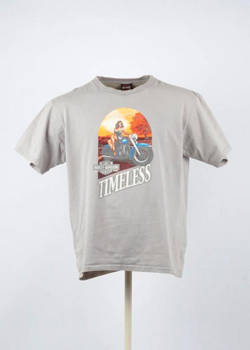 Regular Harley-davidson T-shirt in Gray size XL, Kleding | Heren, T-shirts, Ophalen of Verzenden