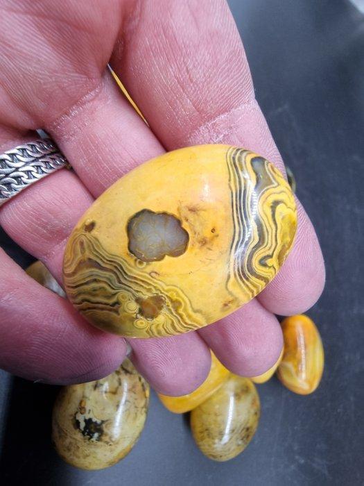 Zeer zeldzaam Bumble Bee Jaspis- 1 kg, Antiek en Kunst, Curiosa en Brocante