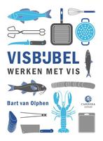 Kookbijbels - Visbijbel 9789048820948, Boeken, Gelezen, Bart van Olphen, Verzenden