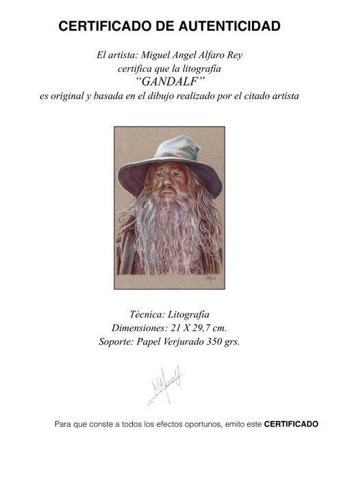 Miguel Ángel Alfaro Rey - Lord Of RIngs - Litografía Set of, Verzamelen, Film en Tv