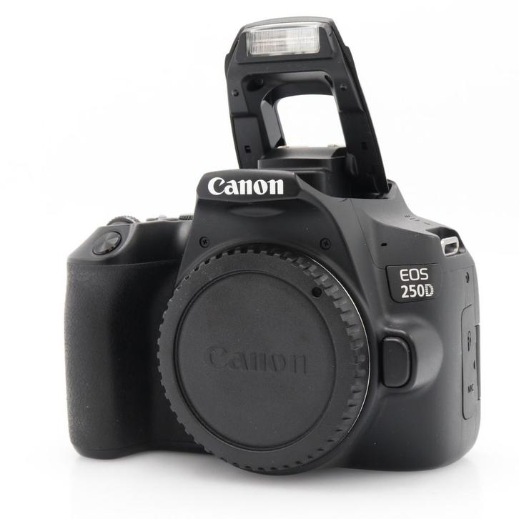 Canon EOS 250D body | Tweedehands, Audio, Tv en Foto, Fotocamera's Digitaal, Zo goed als nieuw, Canon, Verzenden