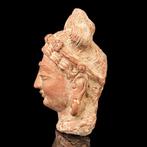 Gandharan Tête en terracotta de Bodhisattva - 18 cm (Sans