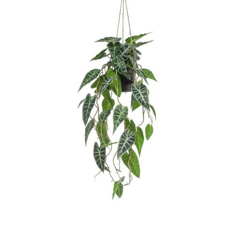 Kunstplant - Alocasia - Olifantsoor - 80 cm, Maison & Meubles, Accessoires pour la Maison | Plantes & Fleurs artificielles