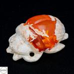 Fascinerende scarabee van Mexicaanse vuuropal 29,8 ct- 5.96