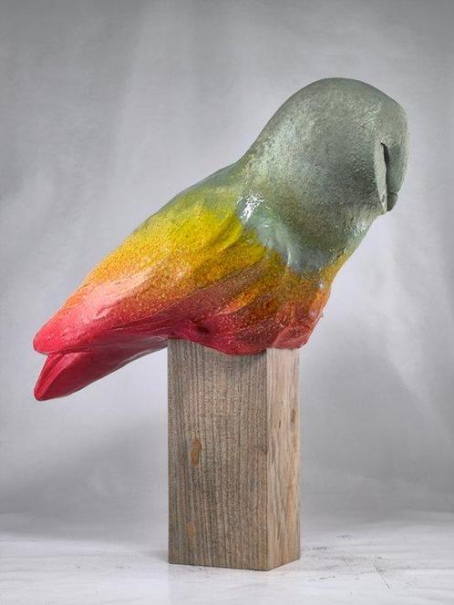 Federico Alibrio - Barn owl, Antiek en Kunst, Kunst | Designobjecten