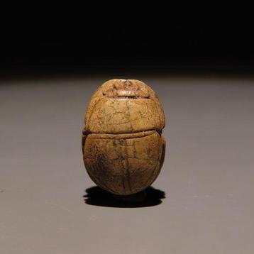 Égypte ancienne Stéatite Scarabée. Période Hyksos, 1782 -