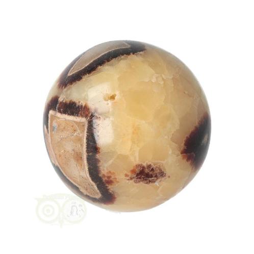 Septarie Bol Nr 23 - Ø 5.46 cm - 231 gram, Handtassen en Accessoires, Edelstenen, Nieuw, Verzenden