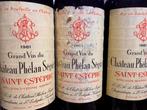 1981 Château Phélan Ségur - Saint-Estèphe - 6 Bouteilles, Collections