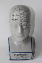 L.N. Fowler - Buste, phrenology buste - 22.5 cm - Porselein, Antiek en Kunst