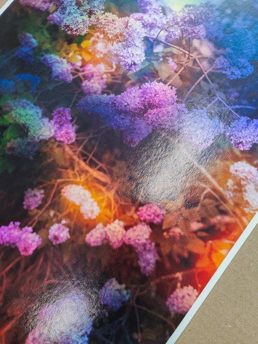 Viet Ha Tran - Like a dream, Antiquités & Art, Art | Objets design