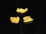 De zeldzame gouden parel uit Lapland Goud nuggets- 0.5 g -