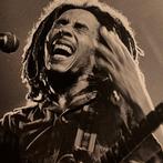 Govert de Roos - Bob Marley