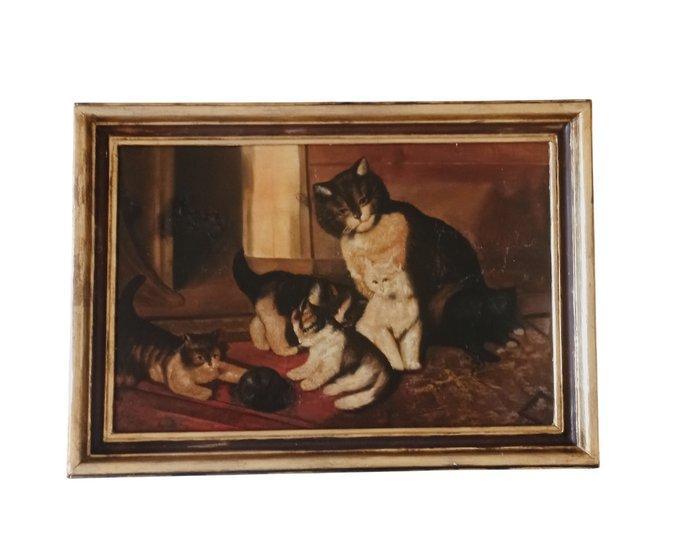 Britse school (XIX) - Cucciolata di gatti, Antiek en Kunst, Curiosa en Brocante