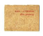Allen Ginsberg - wales - a visitation. Not for Sale