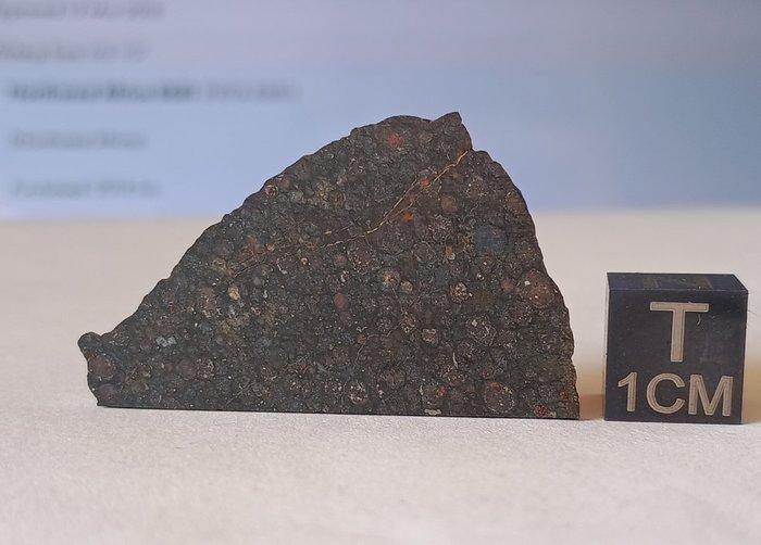 NWA 12590 - meteoriet chondriet koolstofrijke CVred3 -, Verzamelen, Mineralen en Fossielen