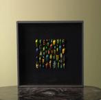 Kevers in Lijst Taxidermie Opgezette Dieren By Max, Ophalen of Verzenden, Nieuw, Insect, Opgezet dier