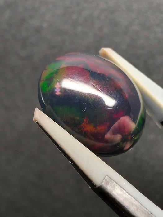 5.32ct Zwarte Opaal Cabochon - Hoogte: 15.4 mm - Breedte:, Verzamelen, Mineralen en Fossielen