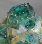 Fluorine Cristaux verts fantasmés - Hauteur : 10 cm -