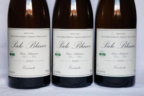 2023 Envinate, Palo Blanco - Tenerife, Canarische Eilanden -, Verzamelen, Wijnen