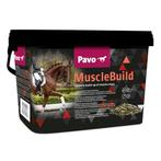 Pavo muscle build