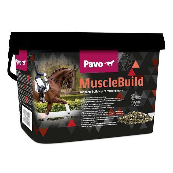 Pavo muscle build, Dieren en Toebehoren, Paarden en Pony's | Overige Paardenspullen, Nieuw