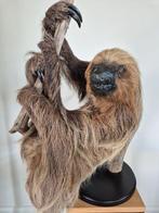 Paresseux Support de corps entier pour taxidermie -, Verzamelen, Nieuw