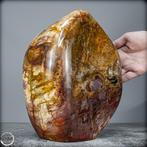 Natuurlijke Grote Versteende Hout Vrije vorm- 8280.41 g