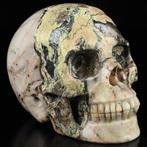 XL 1121g Roots of Yggdrasil Hiso Jasper Skull 12,7 x 8,4 x