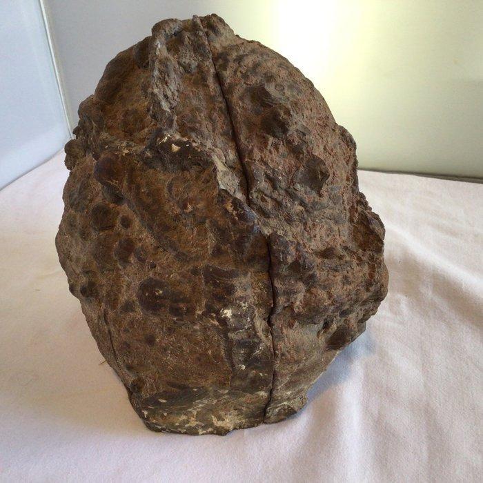 Agaat Geode - Hoogte: 13 cm - Breedte: 15 cm- 3125 g - (1), Verzamelen, Mineralen en Fossielen