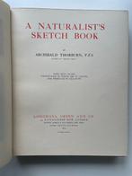 Archibald Thorburn - A Naturalists Sketch Book - 1919
