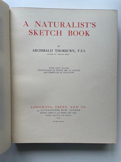 Archibald Thorburn - A Naturalists Sketch Book - 1919, Antiek en Kunst, Antiek | Boeken en Manuscripten