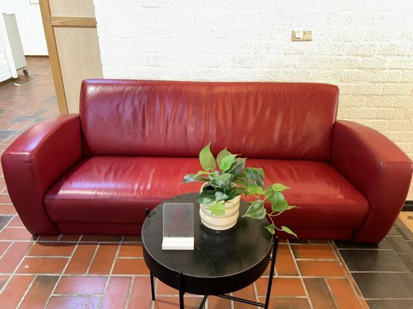 Veiling - Rode merkbank exclusief poten, Huis en Inrichting, Zetels | Zetels