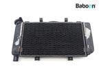 Radiateur Yamaha TDM 900 (TDM900), Motoren, Verzenden, Nieuw