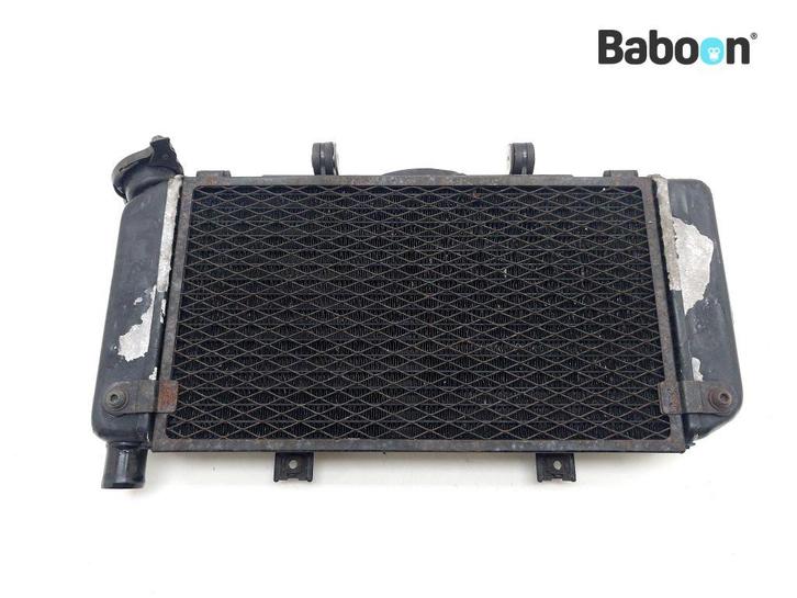 Radiateur Yamaha TDM 900 (TDM900), Motoren, Onderdelen | Yamaha, Verzenden