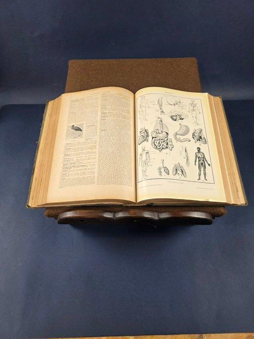 Standaard - Hout - Boekstandaard, Antiek en Kunst, Curiosa en Brocante
