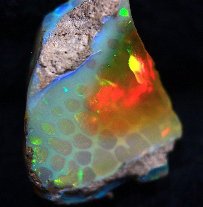 14,0 karaat hoogwaardige, verzamelbare Ethiopische opaal -, Verzamelen, Mineralen en Fossielen