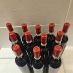 2024 Conte Guicciardini, Le Terre Carbonile Morellino Di, Nieuw