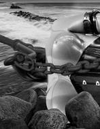 Tan Tolga Demirci - Matriarch